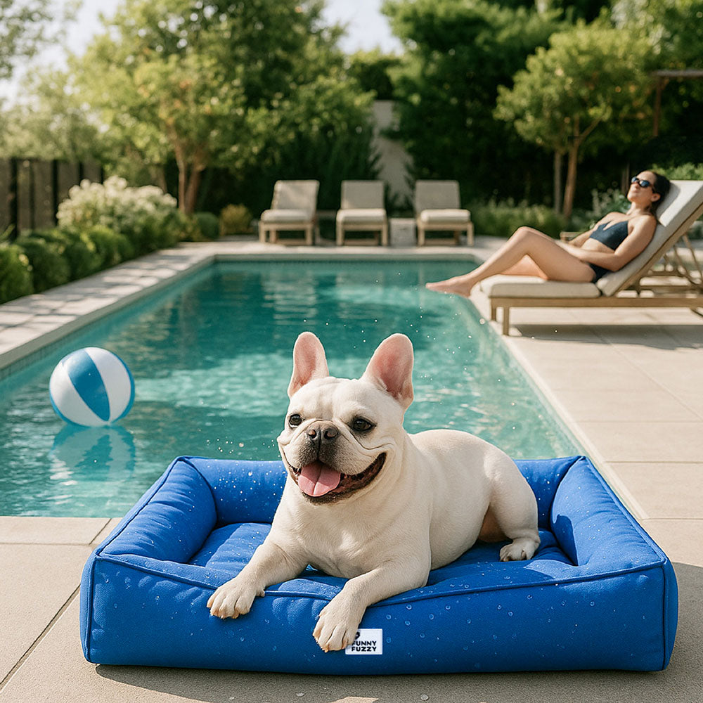 Waterproof Orthopedic Dog Bed for Large & Medium Dogs, Scratch-Resistant Surround Bolster Pet Bed, Washable, Non-Slip, for Indoor, Patio & Crates