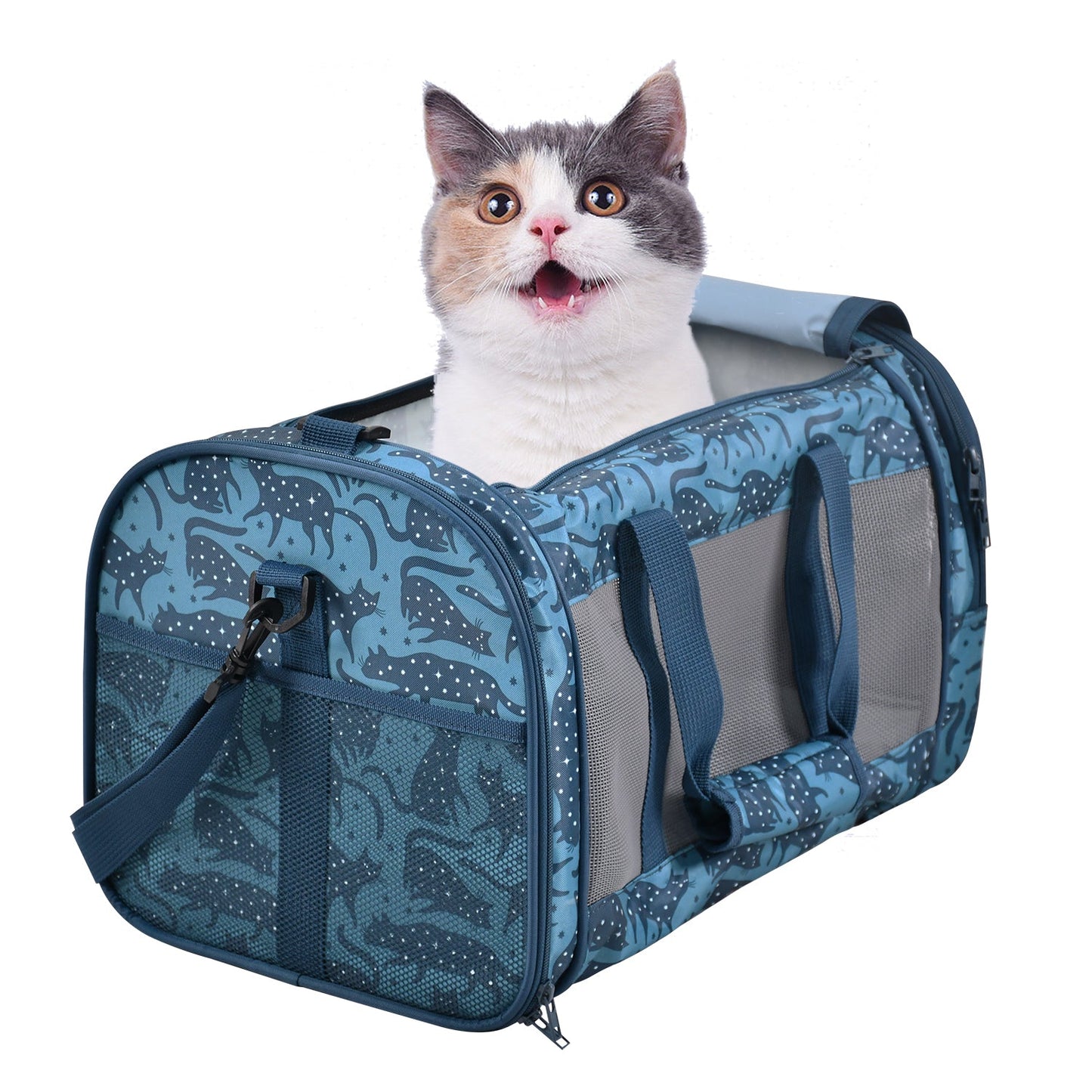 Soft-Sided Pet Carrier Bag for Small Dogs & Cats up to 20 lbs, Airline Travel Tote with Mesh Ventilation & Seat Belt Straps, for Car & Vet Trips