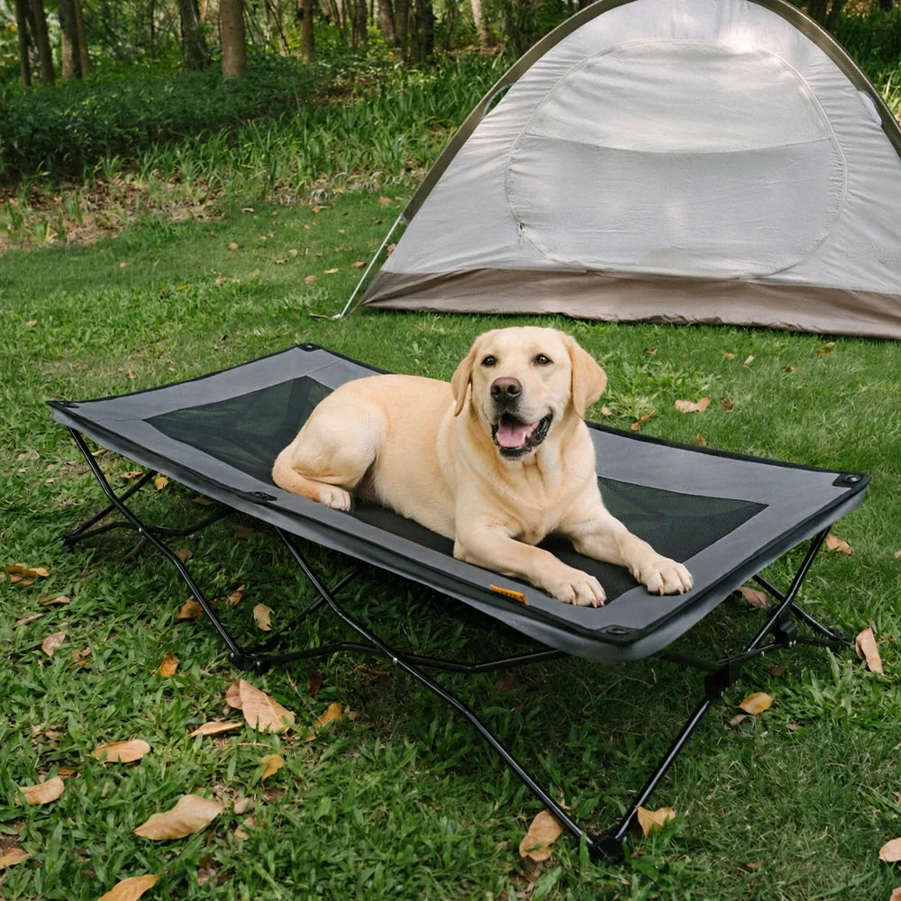 Foldable Elevated Dog Bed for Small, Medium & Large Dogs, Portable Raised Cooling Cot with Breathable Mesh, for Camping, Travel, Indoor & Outdoor Use