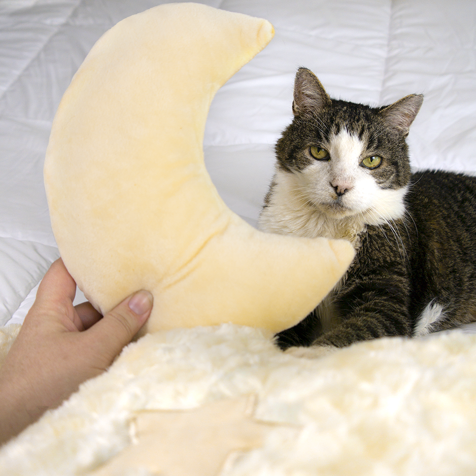 Cloud Shaped Cat Bed for Cats & Small Dogs, Extra Large Soft Plush Pet Bed with Moon Pillow & Star Accents, for Bedrooms & Living Rooms