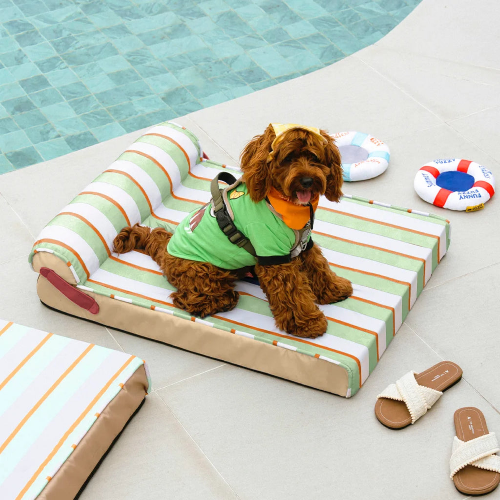 Cooling Orthopedic Dog Bed for Small, Medium & Large Dogs, Memory Foam Crate Mat with Cool-Touch Fabric, Water-Resistant, Machine Washable, for Summer