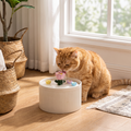 Lifestyle product photo
