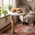 Lifestyle product photo