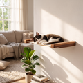 Lifestyle product photo