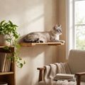 Lifestyle product photo