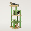 Green five-level cat tree with a condo, hammock, round perch, sisal posts and three cats