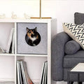 Light grey felt cube cat cave in a shelf, a calico cat looking out of its round opening