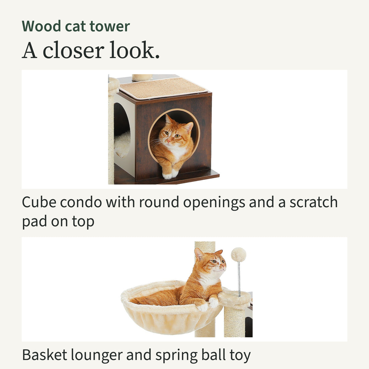 Close-ups of a ginger cat in the brown cube condo, and a cat in the basket lounger next to the spring ball toy