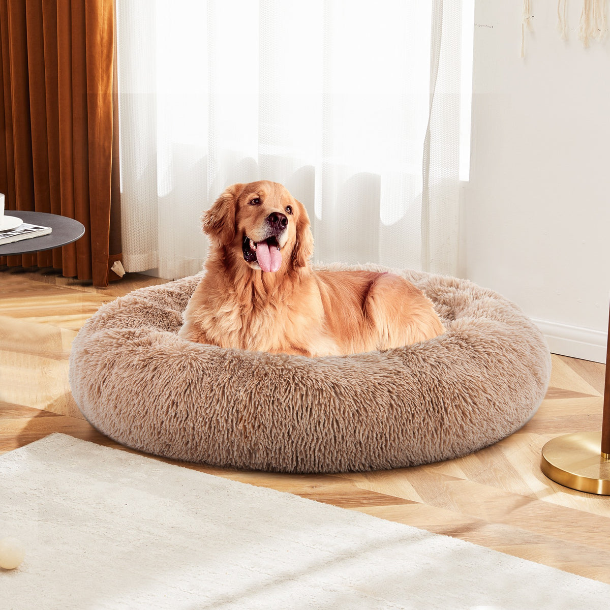 A golden retriever lies in the light brown faux-fur donut bed in a bright room by sheer curtains