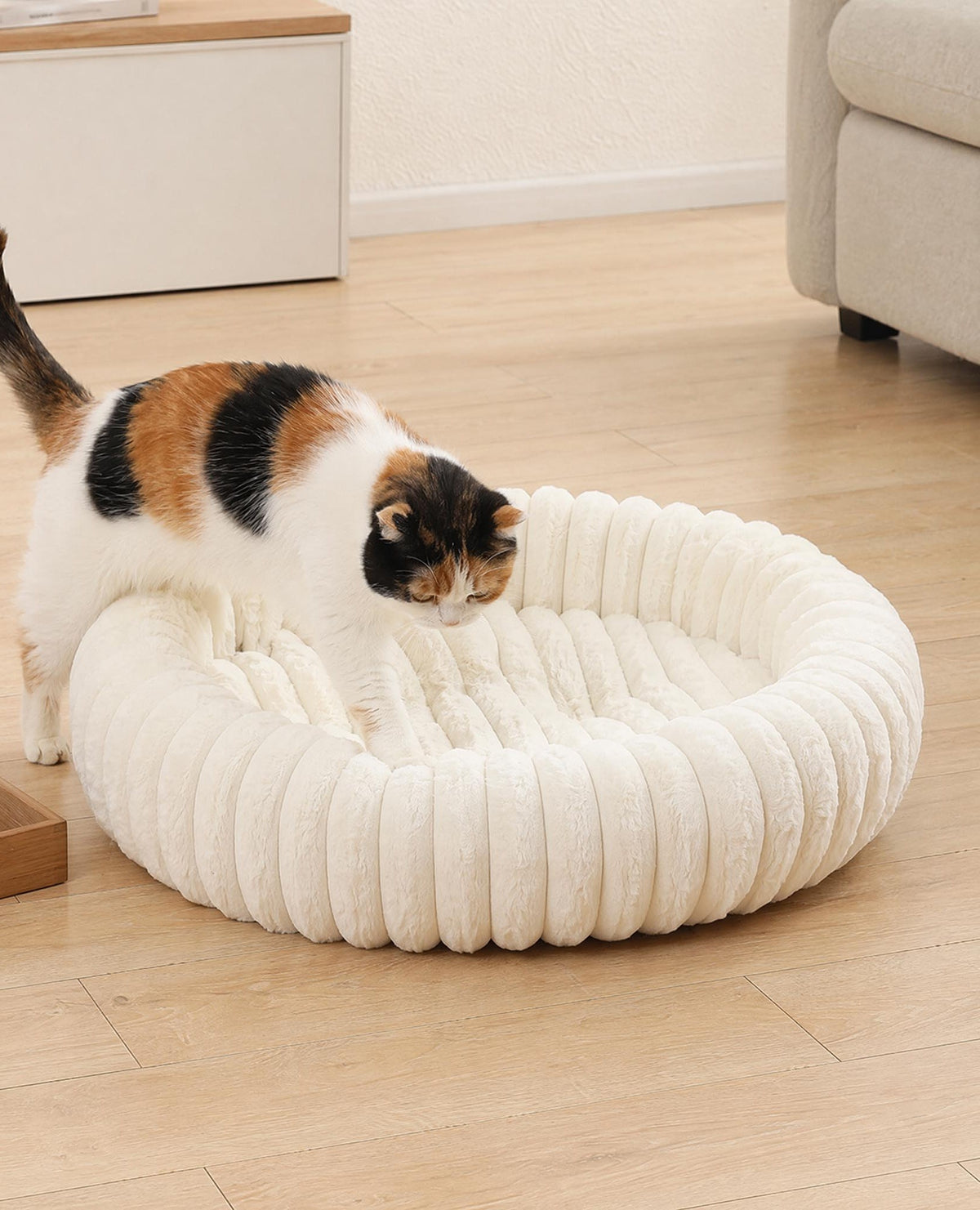 A calico cat steps into the empty round cream plush bed on a light wooden floor