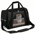 Black soft-sided pet carrier tote with black trim, mesh windows and a shoulder strap