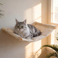 Canvas cat hammock mounted on a sunlit wall with a long-haired cat lying in it
