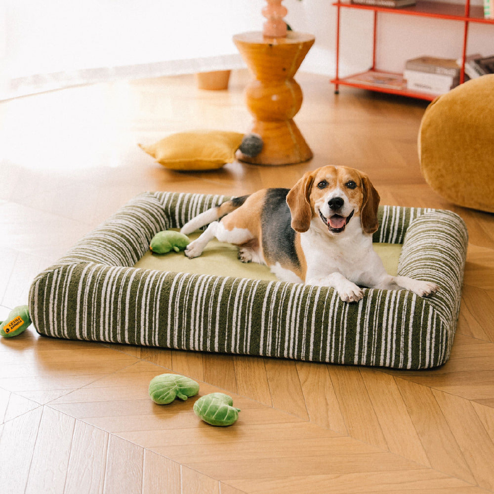 Orthopedic Dog Bed for Small, Medium & Large Dogs, Memory Foam Bolster Sofa Pet Bed, Washable Cover, Non-Slip Bottom, for Sleeping, Crates & Couches