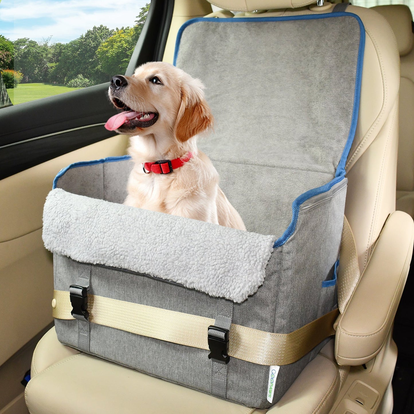 Portable Dog Booster Car Seat for Small & Medium Dogs, Waterproof Travel Pet Car Bed with Safety Leash, Foldable Elevated Seat for Pets up to 25 lbs