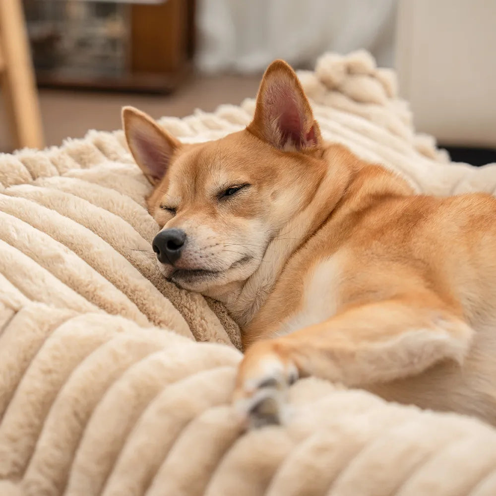 Ribbed Plush Orthopedic Bolster Dog Sofa Bed for Small, Medium & Large Dogs, Foam Couch Bed with Removable Washable Cover, Non-Slip, for Living Rooms
