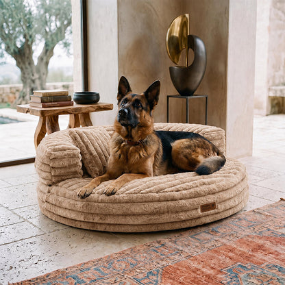 Ultra-Soft Ribbed Plush Donut Dog Bed with Pillows for Small & Medium Dogs, Calming Round Bed with Egg-Crate Foam Base, Non-Slip, for Sleeping & Lounging