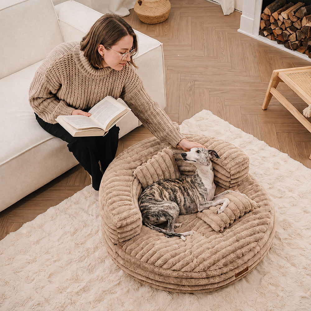 Ultra-Soft Ribbed Plush Donut Dog Bed with Pillows for Small & Medium Dogs, Calming Round Bed with Egg-Crate Foam Base, Non-Slip, for Sleeping & Lounging