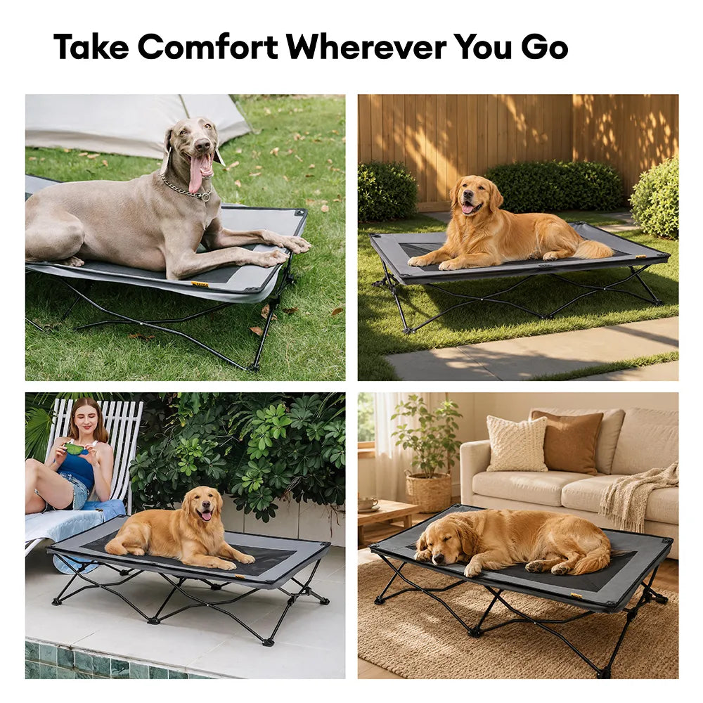 Foldable Elevated Dog Bed for Small, Medium & Large Dogs, Portable Raised Cooling Cot with Breathable Mesh, for Camping, Travel, Indoor & Outdoor Use