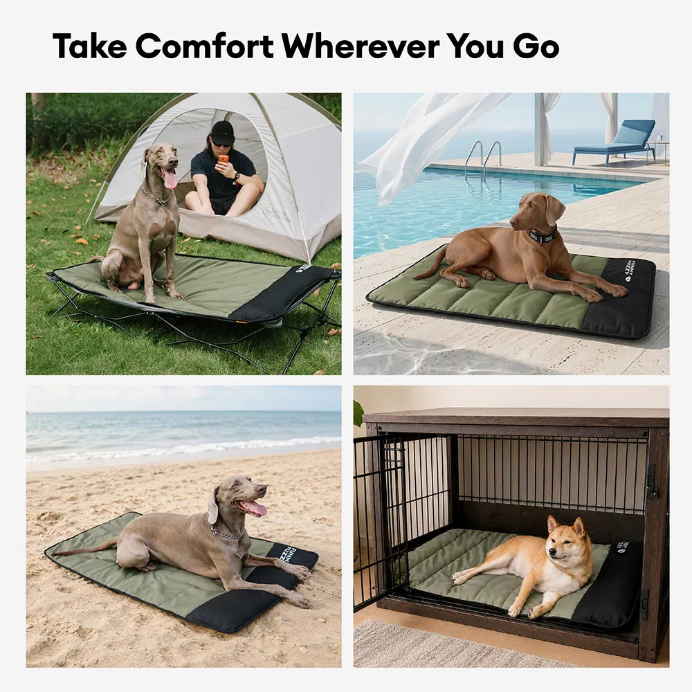 Foldable Elevated Dog Bed with Waterproof Mat for Small, Medium & Large Dogs, Portable Raised Cot Set with Breathable Mesh for Camping, Travel & Patios