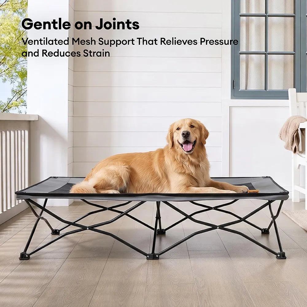 Foldable Elevated Dog Bed for Small, Medium & Large Dogs, Portable Raised Cooling Cot with Breathable Mesh, for Camping, Travel, Indoor & Outdoor Use