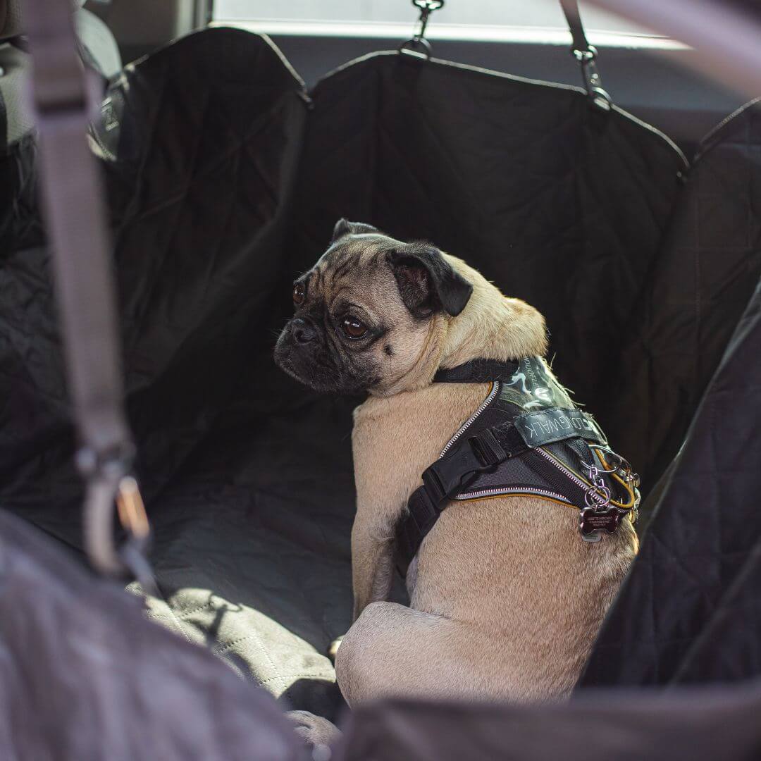 Waterproof Car Seat Cover for Dogs, Non-Slip Pet Back Seat Protector with Adjustable Straps & Storage Pockets, for Cars, Trucks & SUVs, Easy to Clean