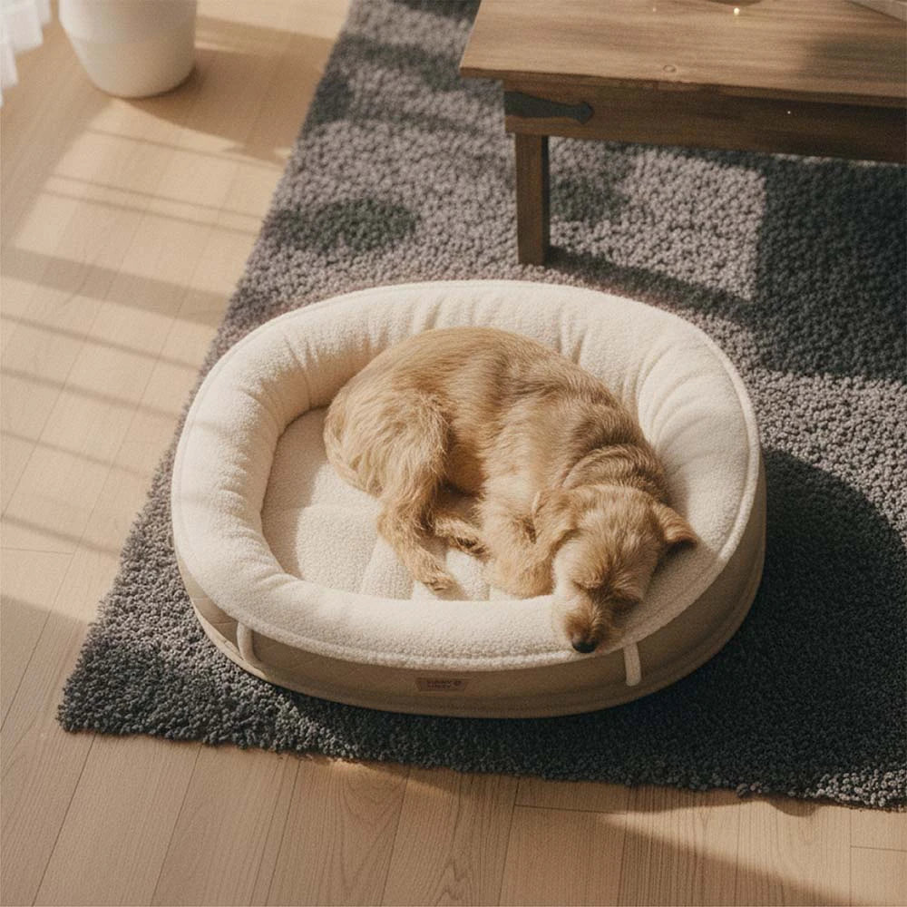 Calming Donut Dog Bed for Small & Medium Dogs, Faux Fur & Faux Leather Round Pet Bed with Bolster Support, Removable Washable Cover, for Sleeping & Anxiety Relief