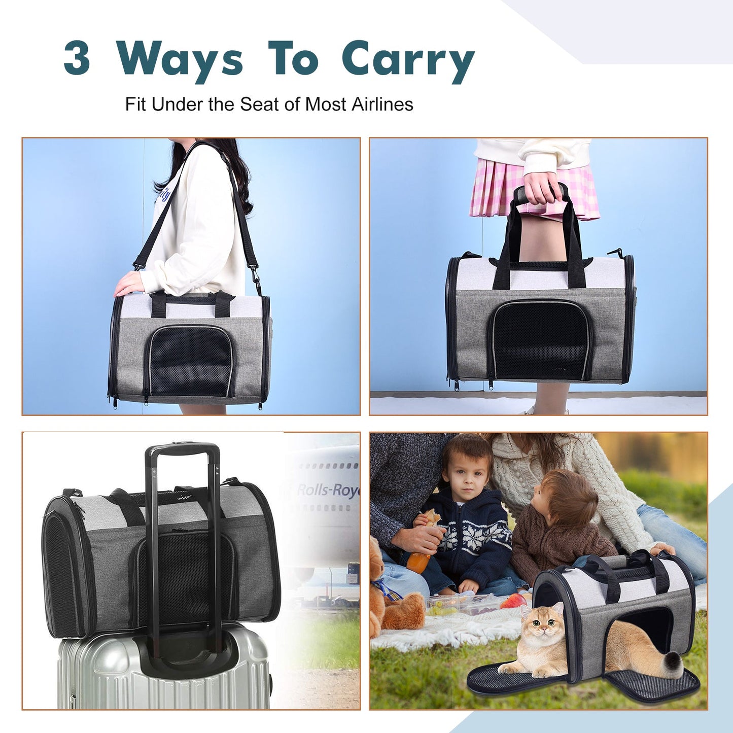 Collapsible Airline Pet Carrier for Small Dogs & Cats, Foldable Travel Bag with Mesh Ventilation, Fleece Mat & Pockets, for Flights, Cars & Outdoors