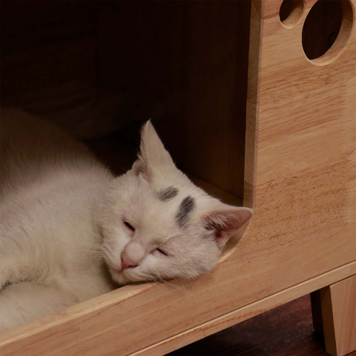 Modern Cat House Side Table for Indoor Cats, Wood Cat Condo Furniture with Scratching Posts & Hanging Toys, for Living Rooms, Bedrooms & Small Spaces