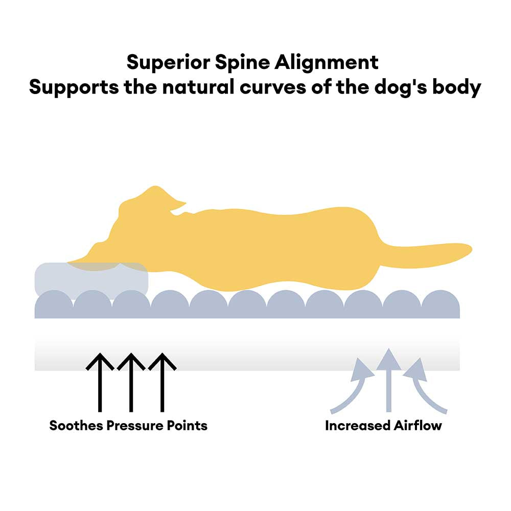 Cozy Fleece Dog Sofa Bed with Headrest for Medium & Large Dogs, Supportive Bolster Pet Couch, Machine Washable, Non-Slip, for Winter Naps & Bedrooms