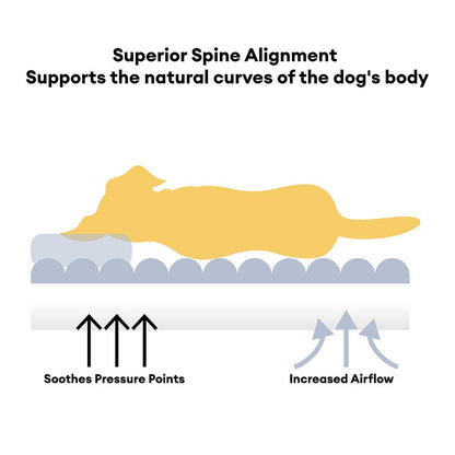 Cozy Fleece Dog Sofa Bed with Headrest for Medium & Large Dogs, Supportive Bolster Pet Couch, Machine Washable, Non-Slip, for Winter Naps & Bedrooms