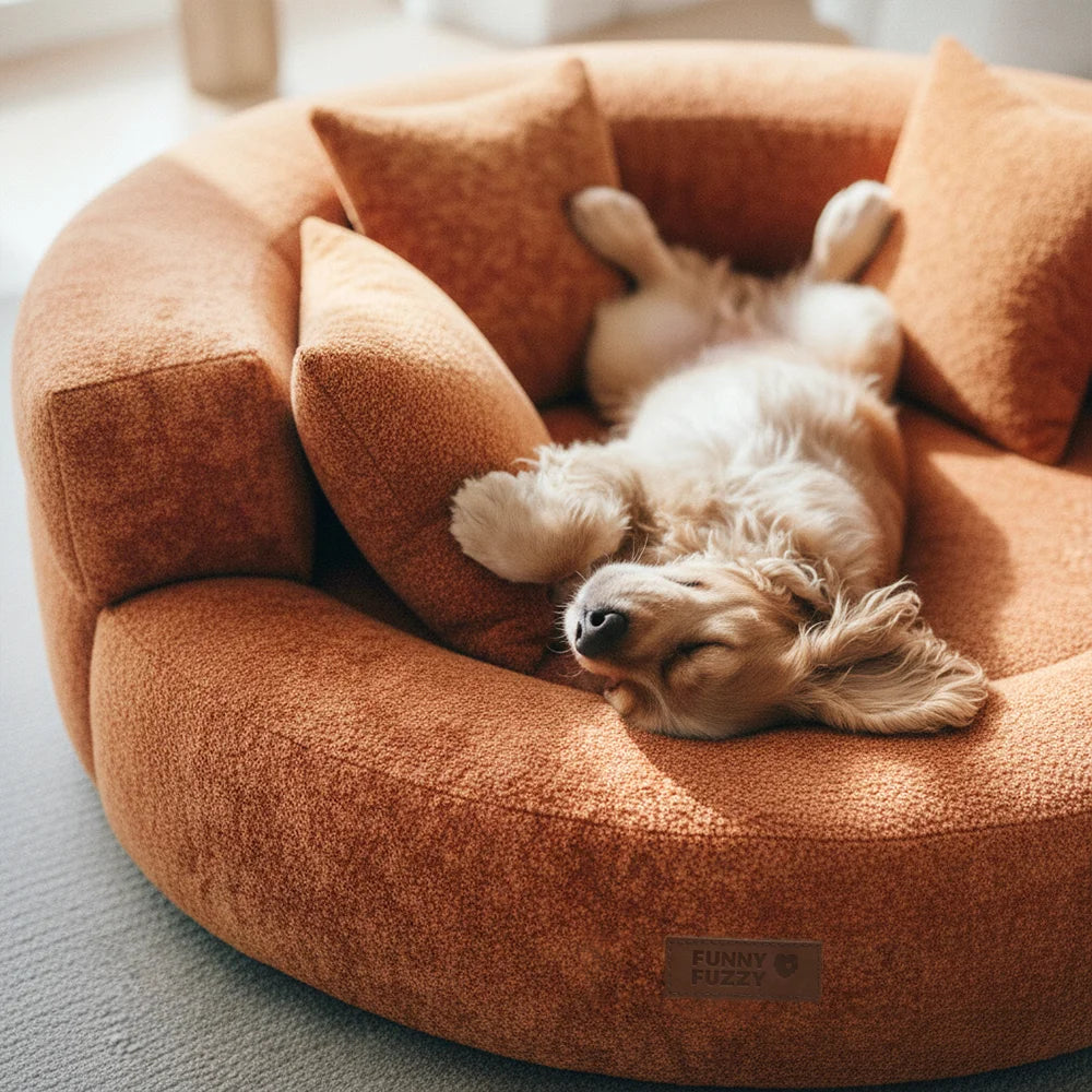 Calming Donut Dog Bed for Small & Medium Dogs, Orthopedic Round Velvet Pet Bed with Pillow, Washable Zip Cover, Non-Slip, for Senior & Anxious Dogs