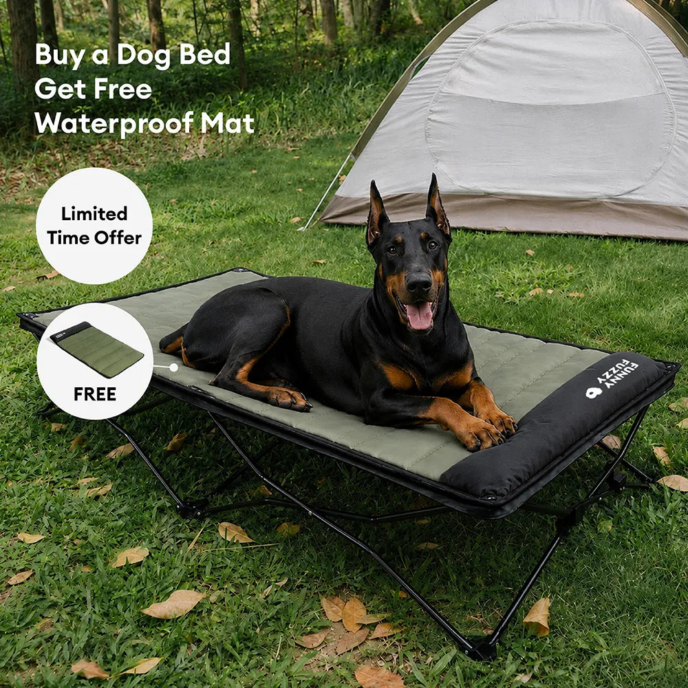 Foldable Elevated Dog Bed with Waterproof Mat for Small, Medium & Large Dogs, Portable Raised Cot Set with Breathable Mesh for Camping, Travel & Patios