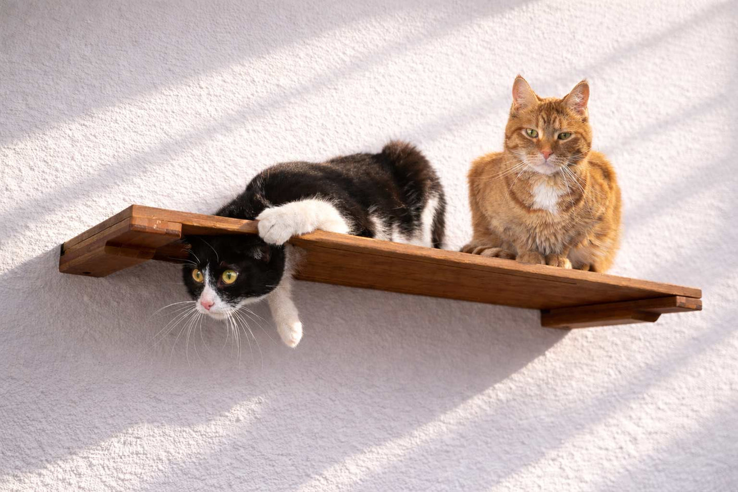 Wall-Mounted Cat Shelf for Indoor Cats, Solid Bamboo Floating Perch with Optional Faux Fur Plush Bed, Space-Saving Wall Furniture for Lounging & Climbing