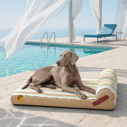 Cooling Orthopedic Dog Bed for Small, Medium & Large Dogs, Memory Foam Crate Mat with Cool-Touch Fabric, Water-Resistant, Machine Washable, for Summer