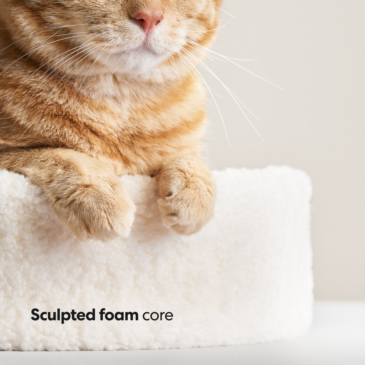 Modern Cat Bed Cushion for Indoor Cats & Kittens, Sculpted Foam Nest with Soft Faux Shearling Cover, for Napping, Lounging, Bedrooms & Sunny Spots