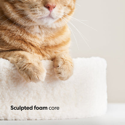 Modern Cat Bed Cushion for Indoor Cats & Kittens, Sculpted Foam Nest with Soft Faux Shearling Cover, for Napping, Lounging, Bedrooms & Sunny Spots