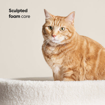 Modern Cat Bed Cushion for Indoor Cats & Kittens, Sculpted Foam Nest with Soft Faux Shearling Cover, for Napping, Lounging, Bedrooms & Sunny Spots