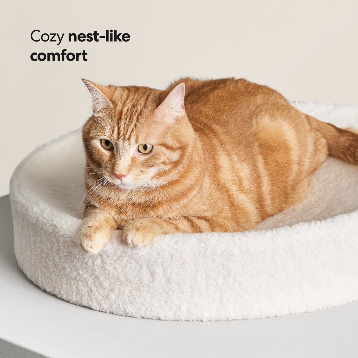 Modern Cat Bed Cushion for Indoor Cats & Kittens, Sculpted Foam Nest with Soft Faux Shearling Cover, for Napping, Lounging, Bedrooms & Sunny Spots