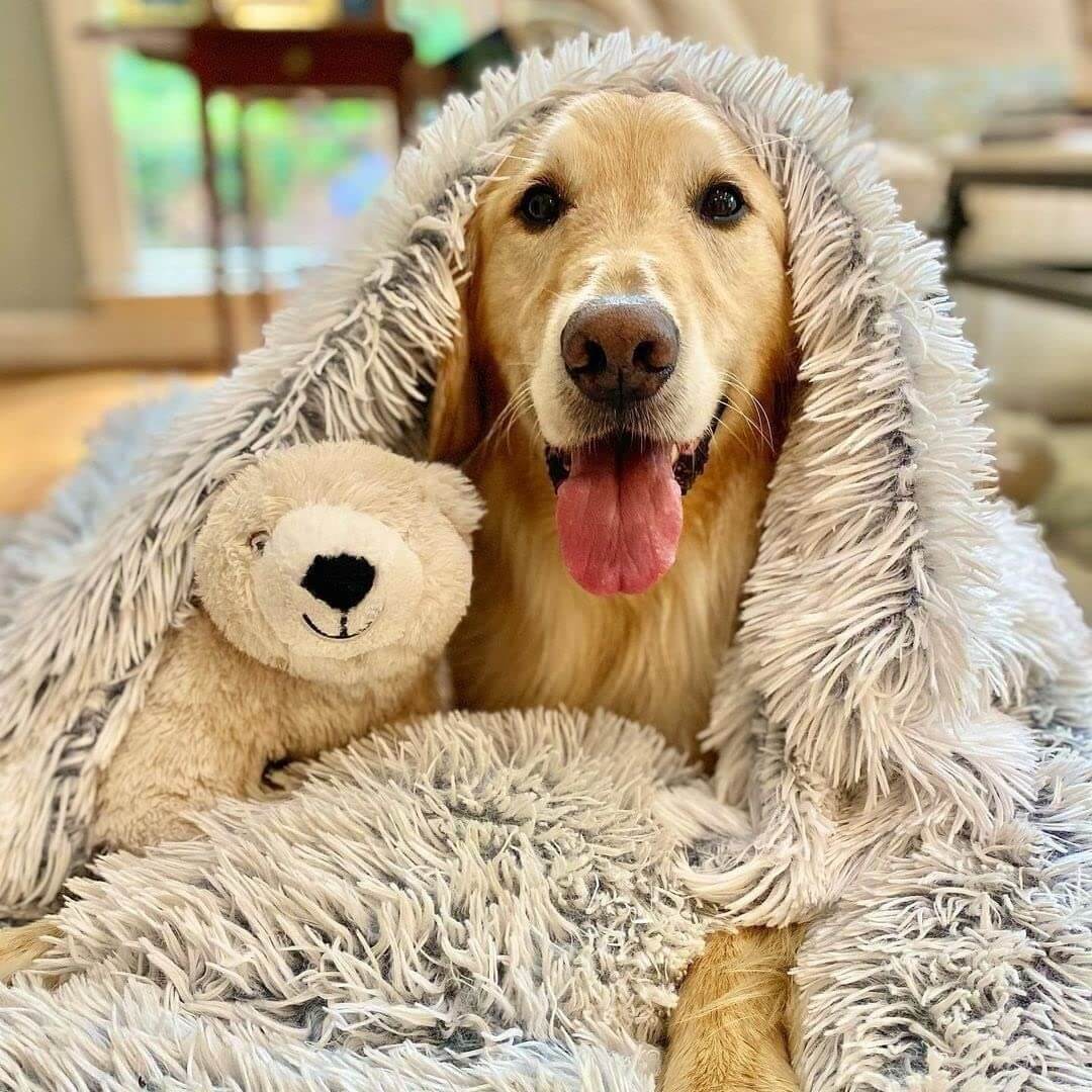 Anti-Anxiety Fluffy Pet Blanket for Dogs & Cats, Soft Plush Calming Throw for Puppies & Kittens, Cozy Cover for Beds, Crates, Sofas & Car Rides