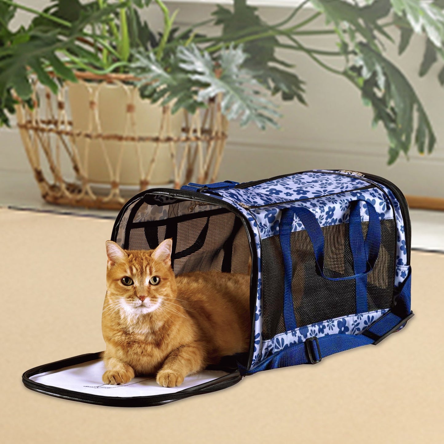 Soft-Sided Pet Carrier Bag for Small Dogs & Cats up to 20 lbs, Airline Travel Tote with Mesh Ventilation & Seat Belt Straps, for Car & Vet Trips