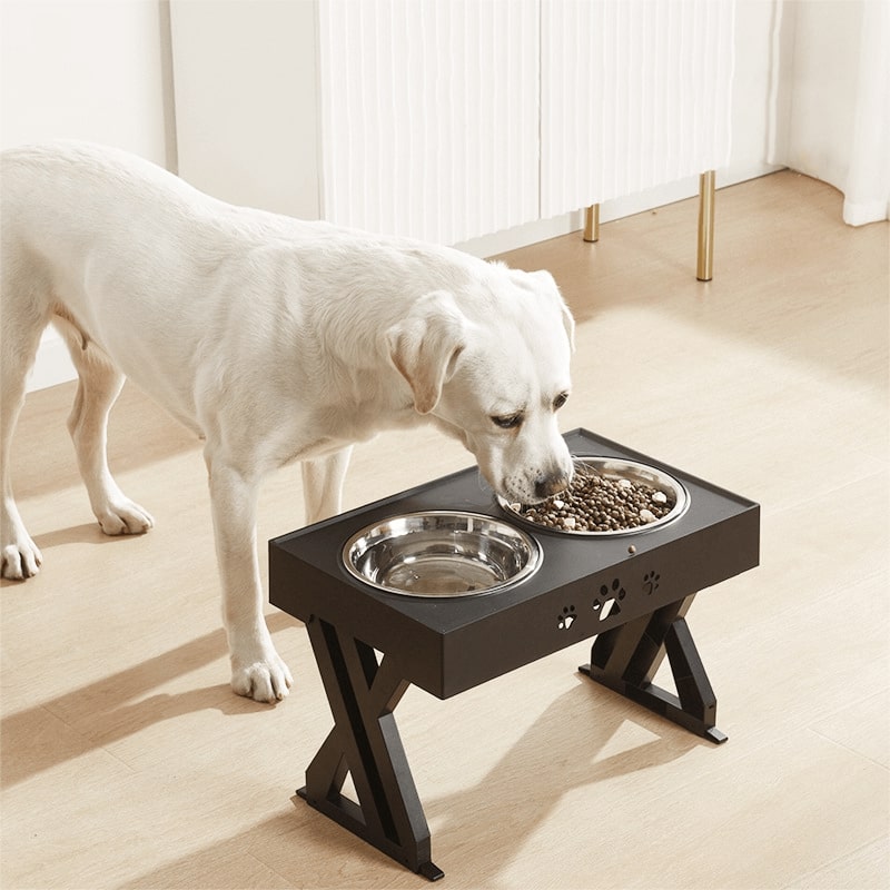 Adjustable Height Elevated Dog Bowls for Small, Medium & Large Dogs, Raised Spill-Proof Food & Water Feeder Stand, Ergonomic for Puppies to Seniors
