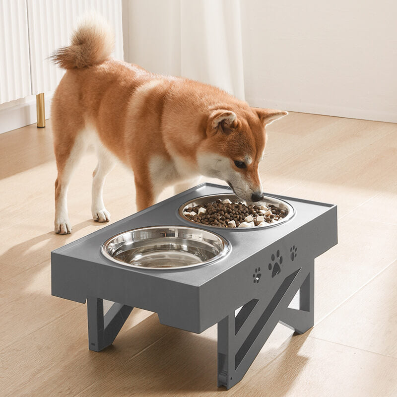 Adjustable Height Elevated Dog Bowls for Small, Medium & Large Dogs, Raised Spill-Proof Food & Water Feeder Stand, Ergonomic for Puppies to Seniors