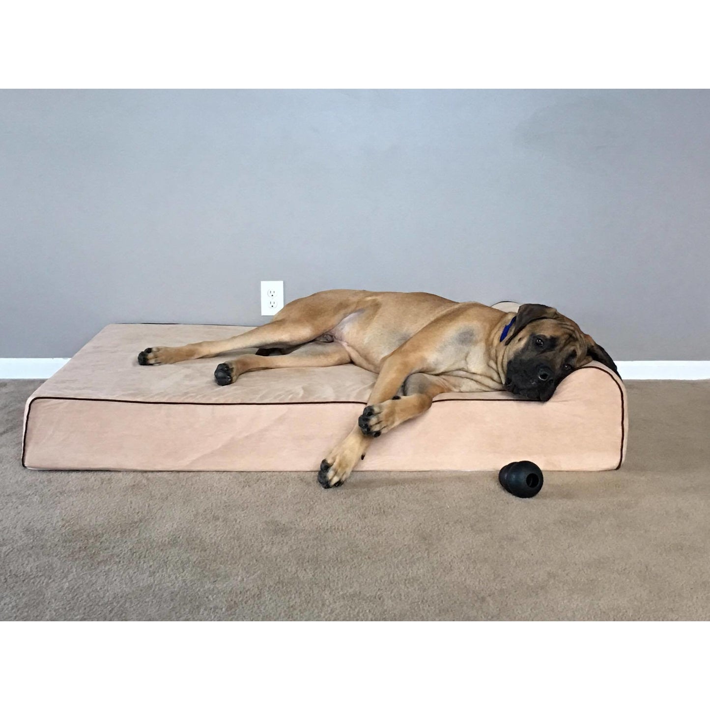 Orthopedic Memory Foam Dog Bed for Large & Extra Large Breeds, Waterproof Washable Big Dog Bed for Arthritic & Senior Dogs, Non-Slip, Chew-Guard Zipper