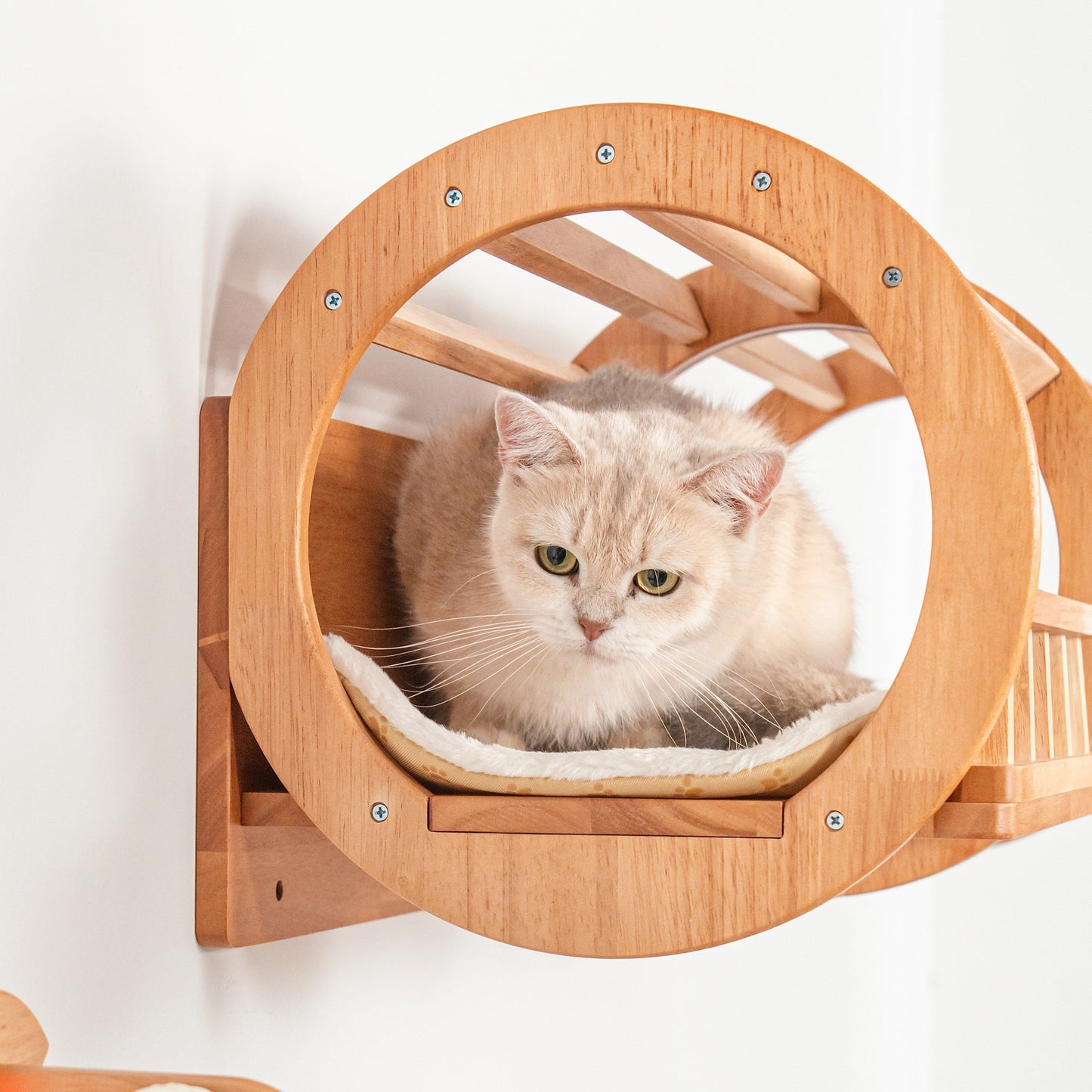 Large Wall Mounted Cat Tunnel for Indoor Cats, Rubberwood Elevated Hideaway Bed with Guard Rails, Connects Cat Shelves, for Cat Rooms & Apartments