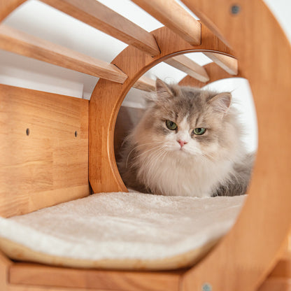 Large Wall Mounted Cat Tunnel for Indoor Cats, Rubberwood Elevated Hideaway Bed with Guard Rails, Connects Cat Shelves, for Cat Rooms & Apartments