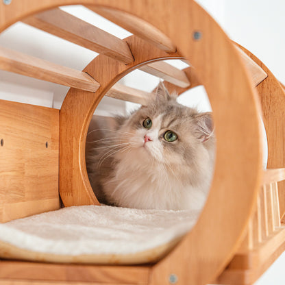 Large Wall Mounted Cat Tunnel for Indoor Cats, Rubberwood Elevated Hideaway Bed with Guard Rails, Connects Cat Shelves, for Cat Rooms & Apartments