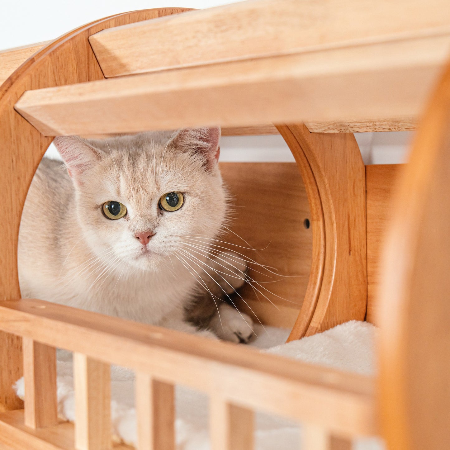 Large Wall Mounted Cat Tunnel for Indoor Cats, Rubberwood Elevated Hideaway Bed with Guard Rails, Connects Cat Shelves, for Cat Rooms & Apartments