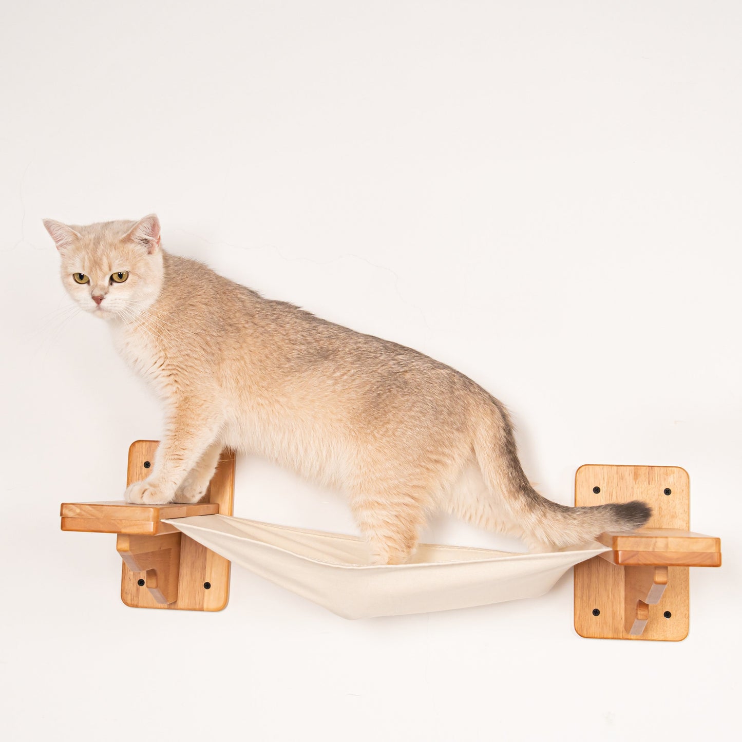 Comfy Wall Mounted Cat Hammock for Indoor Cats, Rubberwood Frame with Linen Sling Bed, Space-Saving Floating Lounger, for Cat Walls & Bedrooms