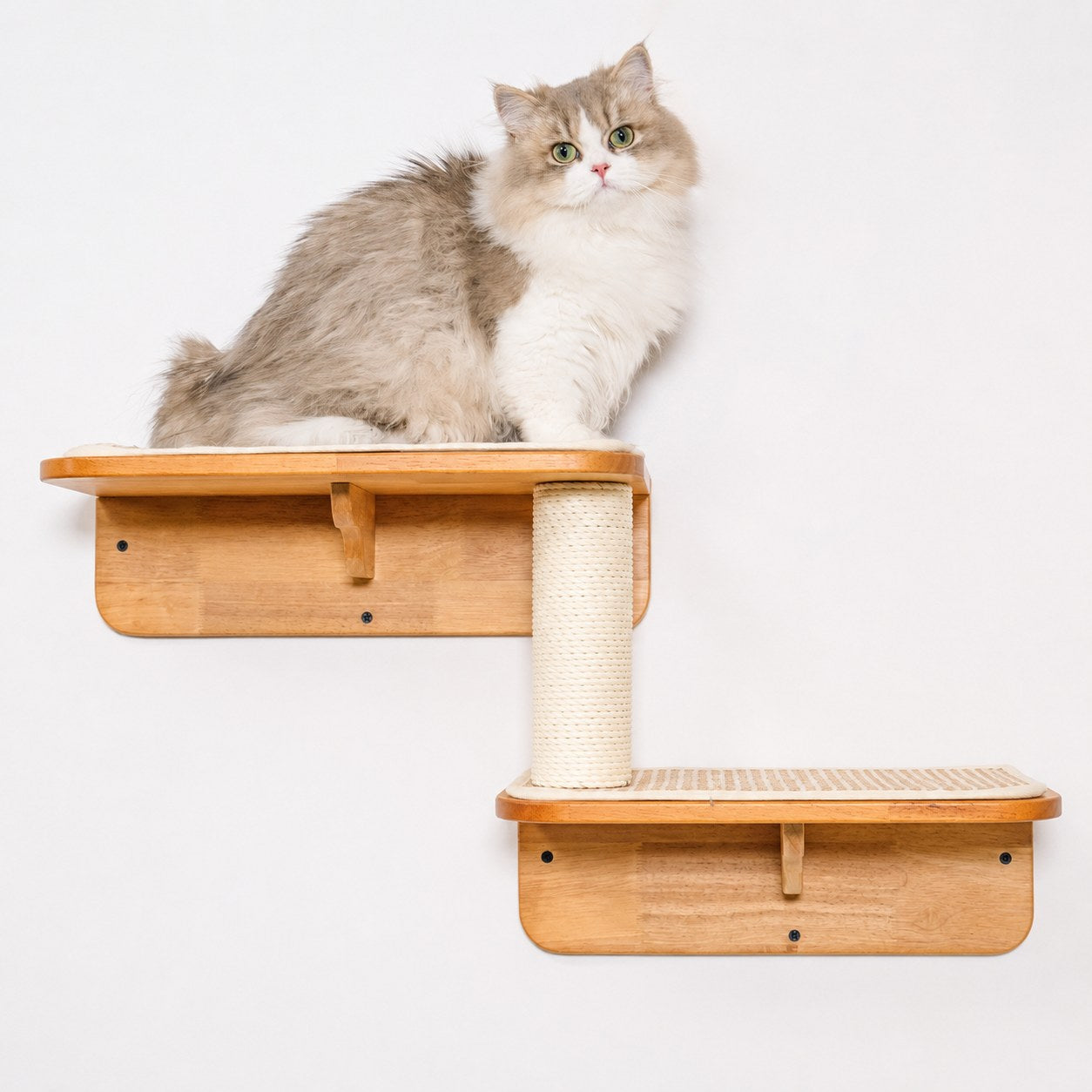 Wall Mounted Cat Shelf Perch for Indoor Cats, Double-Level Wood Cat Wall Furniture with Rope Scratching Post, for Climbing, Lounging & Small Spaces