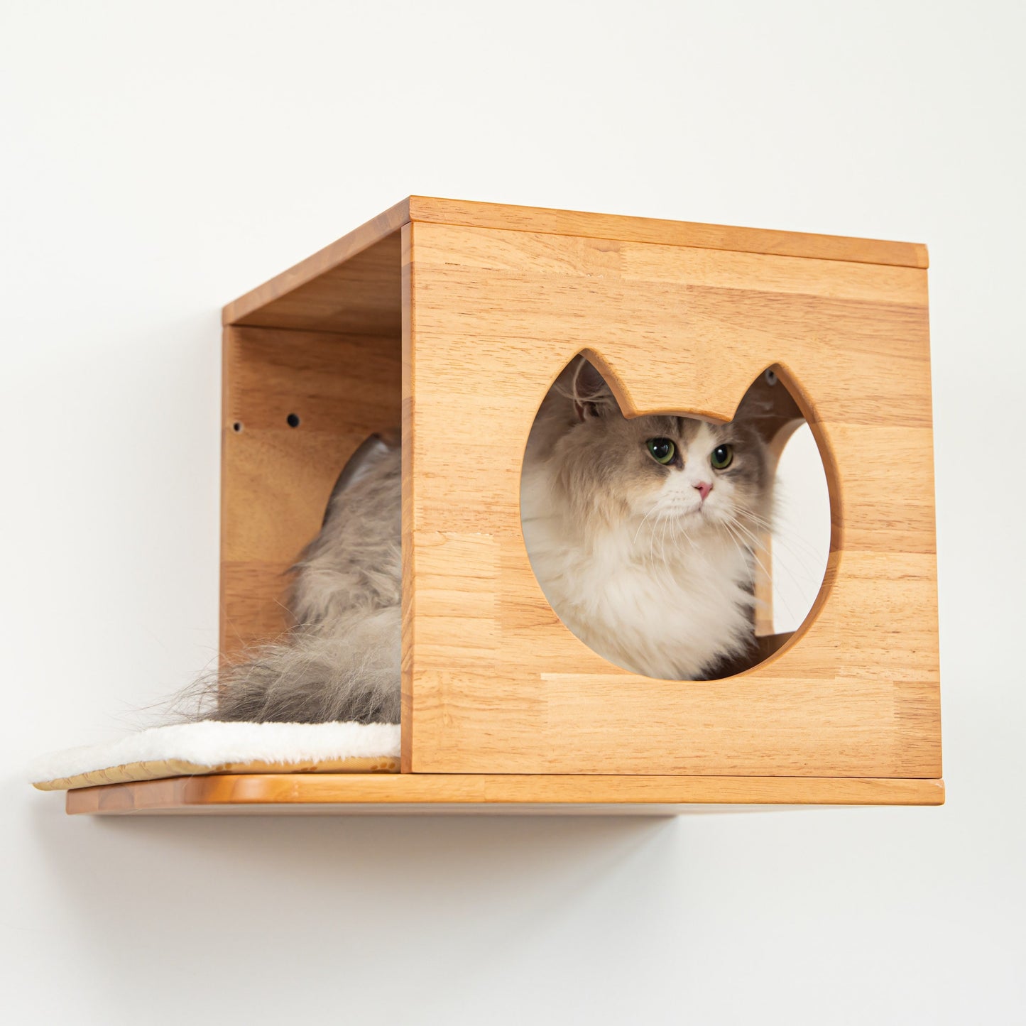 Wall Mounted Cat House for Indoor Cats, Wood Cat Wall Bed Cave with Front Perch, Space-Saving Elevated Hideaway for Napping, Bedrooms & Living Rooms